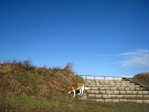 c0084117_22262480.jpg