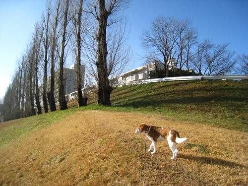 c0084117_22281731.jpg