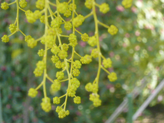 e0026017_11484232.jpg