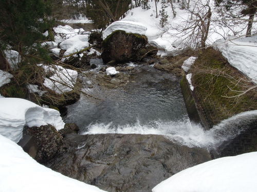 e0147226_197968.jpg