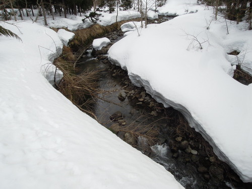 e0147226_1994245.jpg
