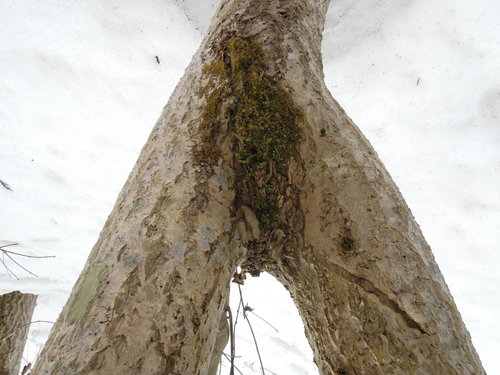 e0147226_20132791.jpg