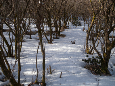 e0272335_5462739.jpg
