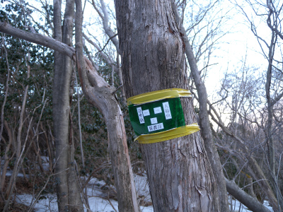 e0272335_5512780.jpg