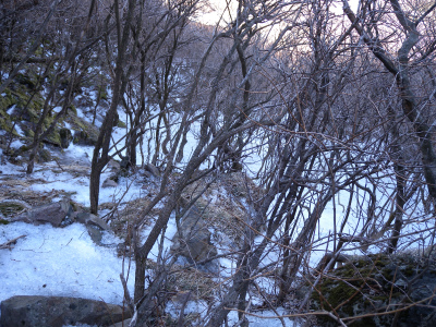 e0272335_8223628.jpg