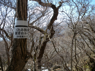 e0272335_9303539.jpg