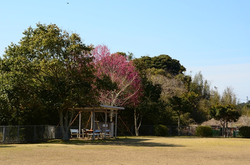b0288942_15511338.jpg