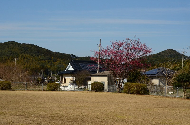 b0288942_1551434.jpg