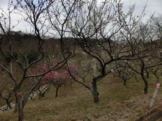 c0194042_2215016.jpg