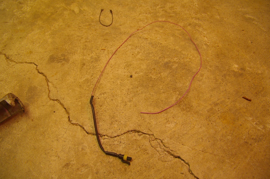 e0159646_529633.jpg