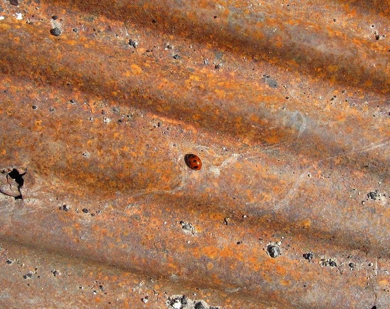 a0188456_2053641.jpg