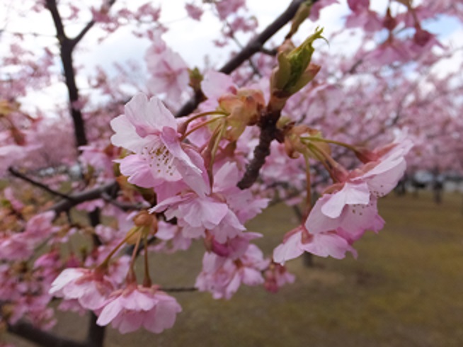 f0113862_2011997.jpg