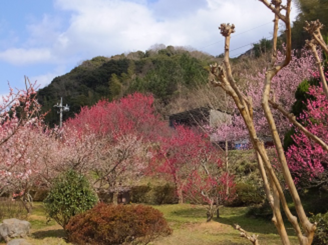f0113862_7381725.jpg