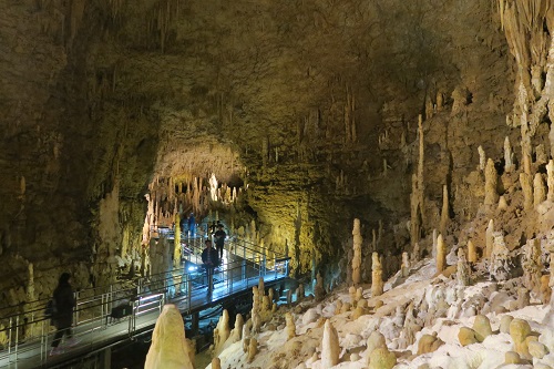 d0029363_0154594.jpg