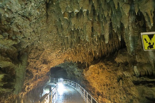 d0029363_0162457.jpg