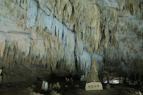 d0029363_0164584.jpg