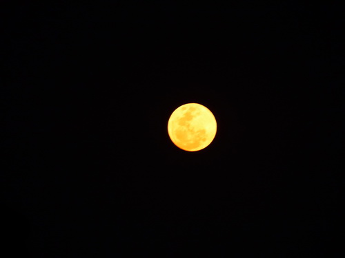 c0357964_11494012.jpg