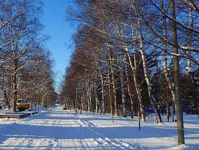 b0171771_02400843.jpg