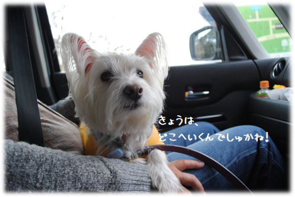 b0242873_00053281.png