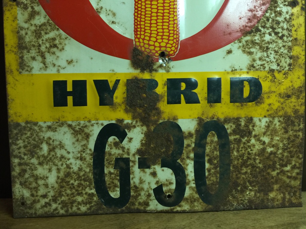 c0078587_13302125.jpg