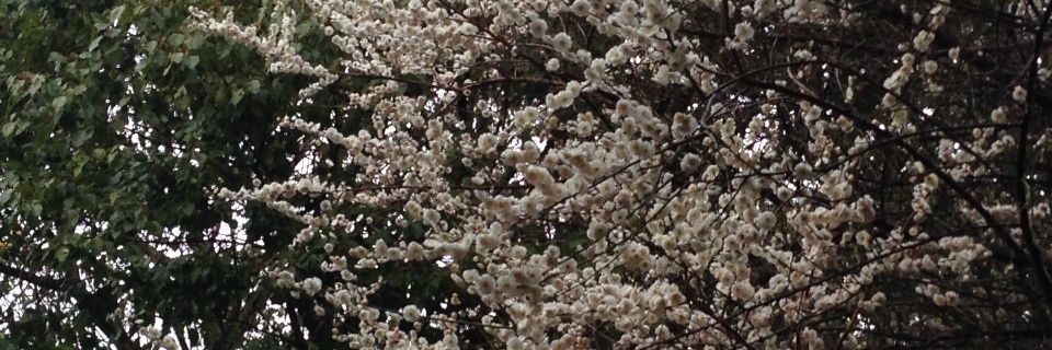 c0170789_17560023.jpg