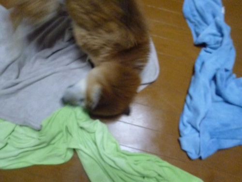 c0123890_21131641.jpg