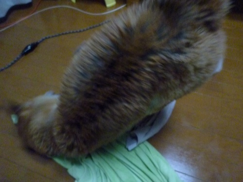 c0123890_2113265.jpg