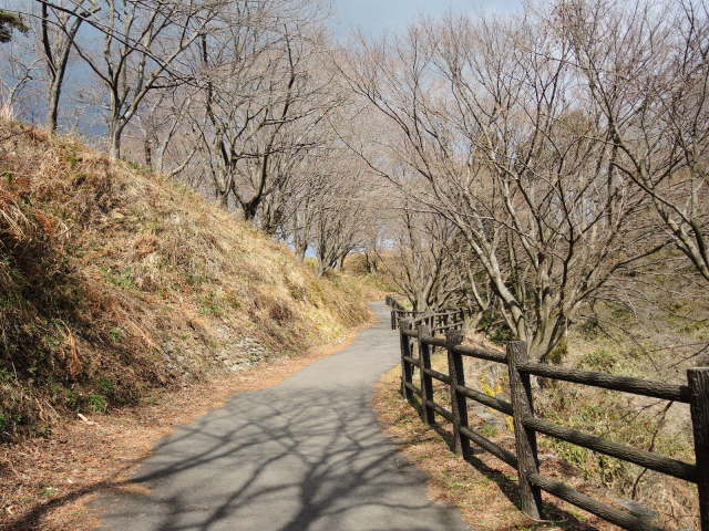 f0100593_17071714.jpg