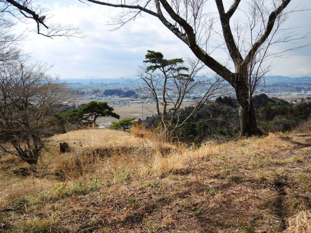 f0100593_17074081.jpg