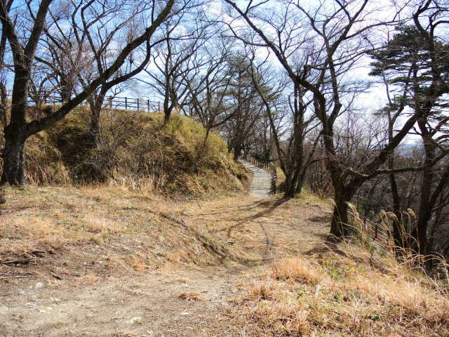 f0100593_17074411.jpg