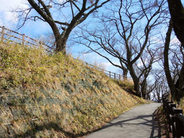 f0100593_17074876.jpg