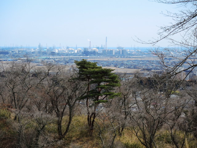 f0100593_17075560.jpg