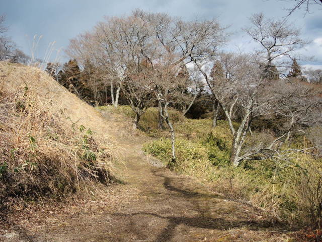 f0100593_17080177.jpg
