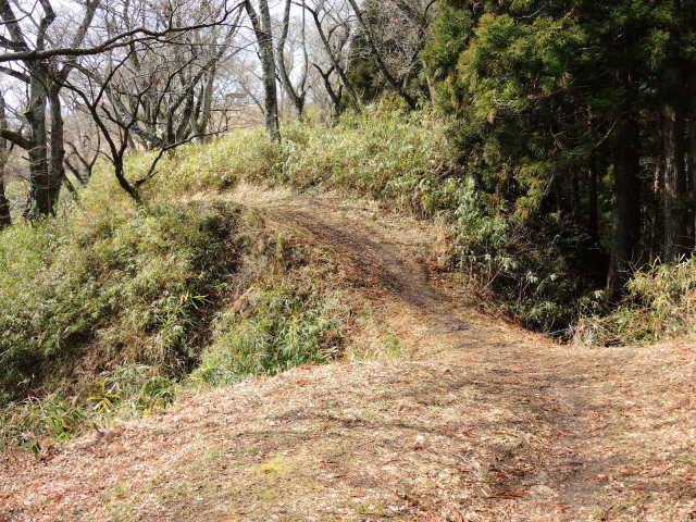 f0100593_17080868.jpg