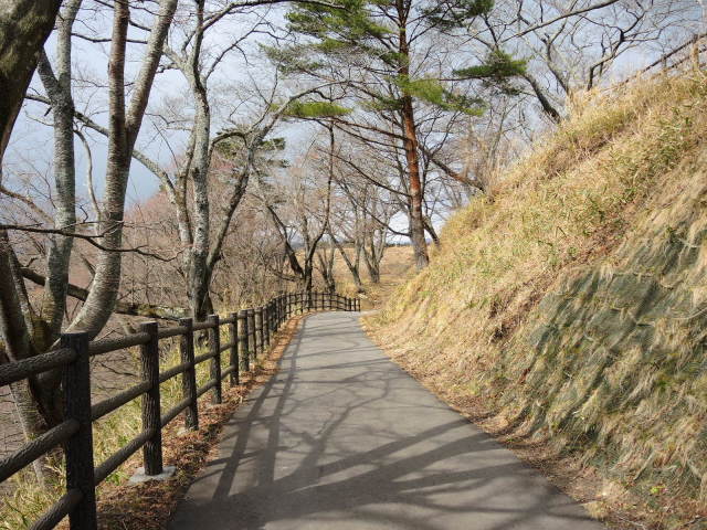 f0100593_17081826.jpg