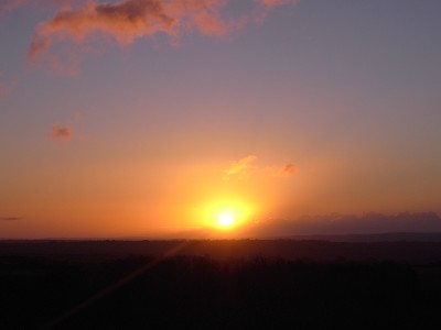 b0110999_60263.jpg