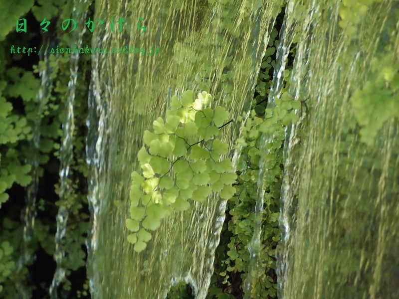 c0358500_09504123.jpg