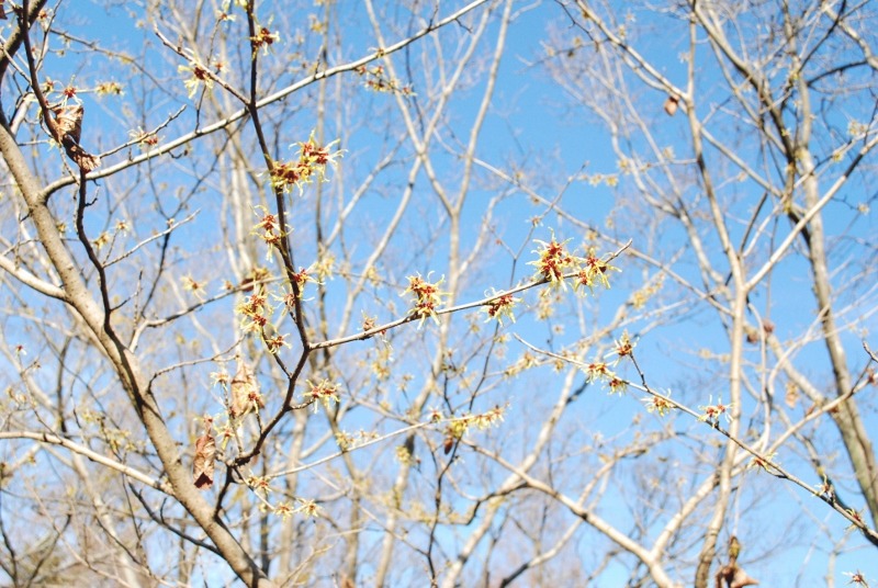 e0025300_12143292.jpg