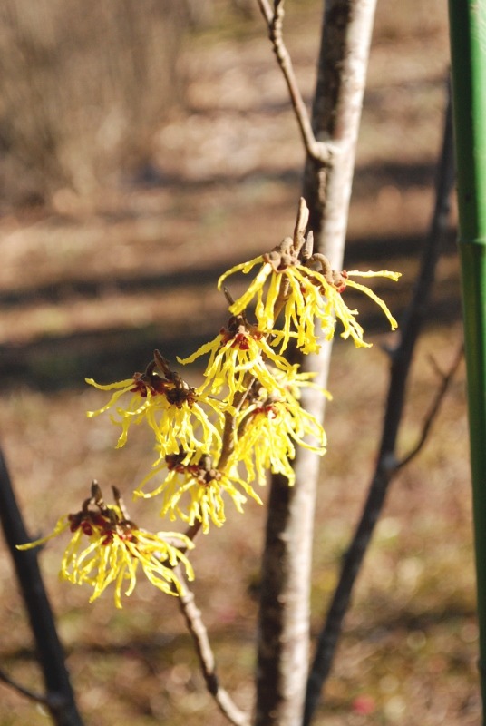 e0025300_1215106.jpg