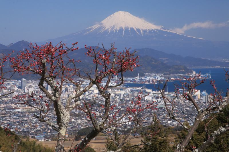 a0188405_21395533.jpg