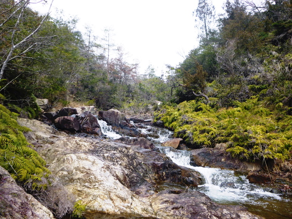 d0170615_20524179.jpg