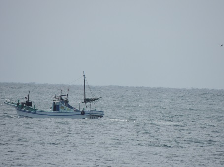 f0150620_1612843.jpg