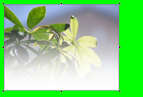 d0015124_14161195.png