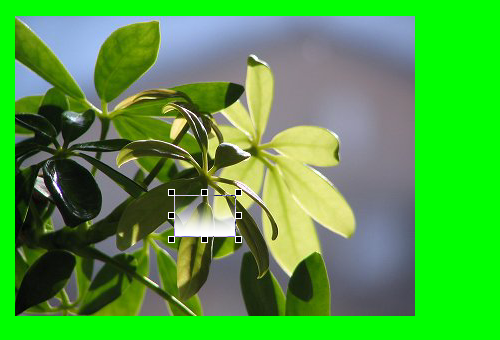 d0015124_1416950.png