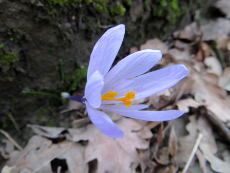 f0234936_8105962.jpg