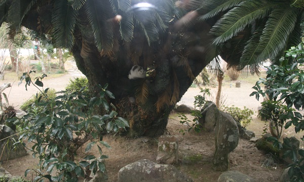 f0042737_10512732.jpg