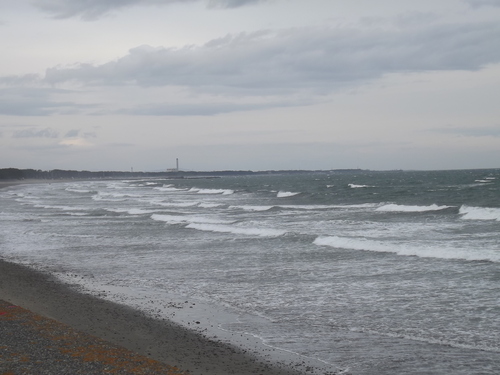 f0248337_1527144.jpg