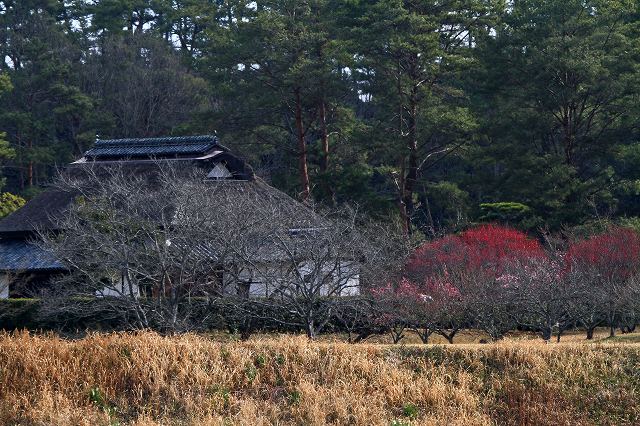 a0242438_2123893.jpg