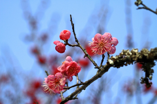 a0242438_2132646.jpg