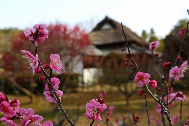 a0242438_2133193.jpg